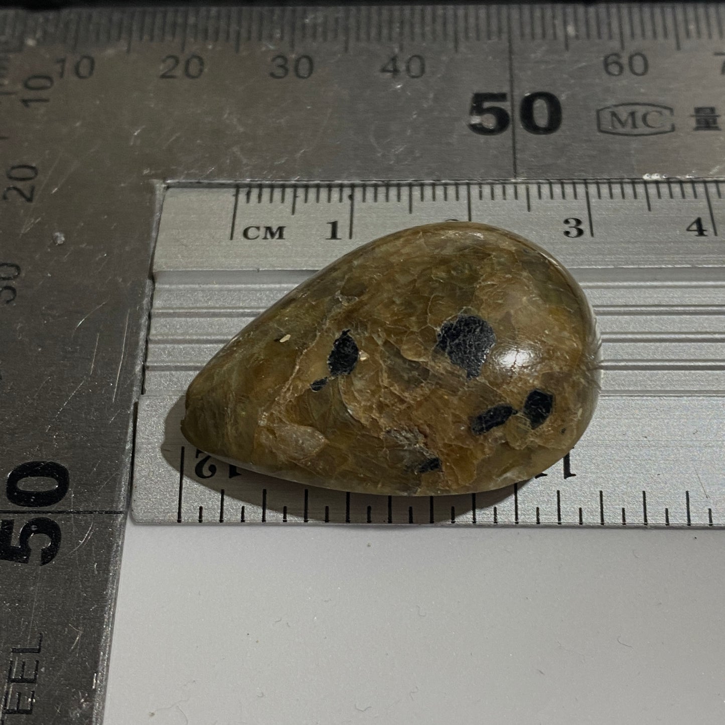 SILICIFIED CORAL GEMSTONE - ISEL OF GOTLAND, SWEDEN. 50Ct. MFG5164