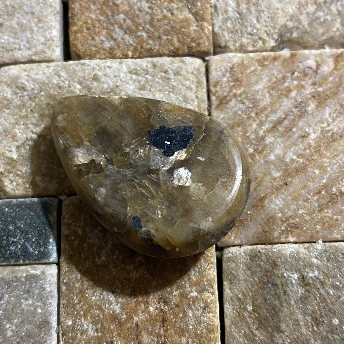 SILICIFIED CORAL GEMSTONE - ISEL OF GOTLAND, SWEDEN. 50Ct. MFG5164