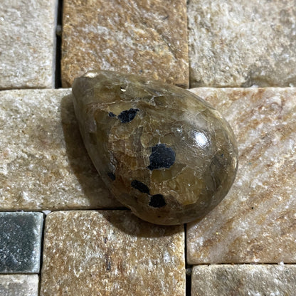 SILICIFIED CORAL GEMSTONE - ISEL OF GOTLAND, SWEDEN. 50Ct. MFG5164