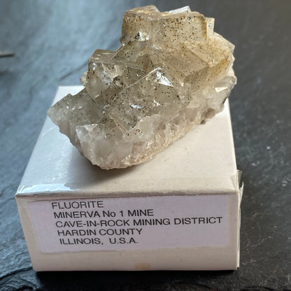 STRACZEKITE, MINERAL TYPE LOCATION, UNION CARBIDE MINE, ARKANSAS, U.S.A. 10g MF1839