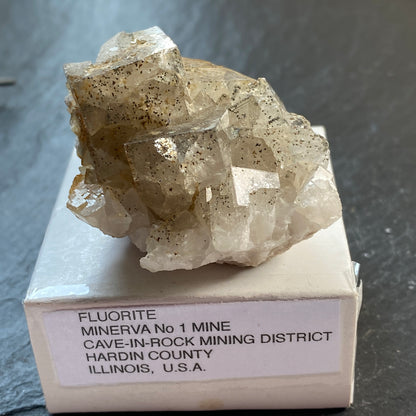 FLUORITE, MINERVA NO 1 MINE, CAVE-IN-ROCK M.D., ILLINOIS, U.S.A. 69g MF1840