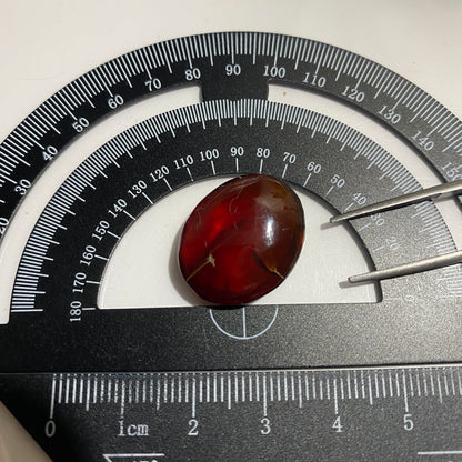 AMBER NATURAL GEMSTONE - LAMPUNG PROVINCE, SUMATRA, INDONESIA 8.60Ct. MFG5129