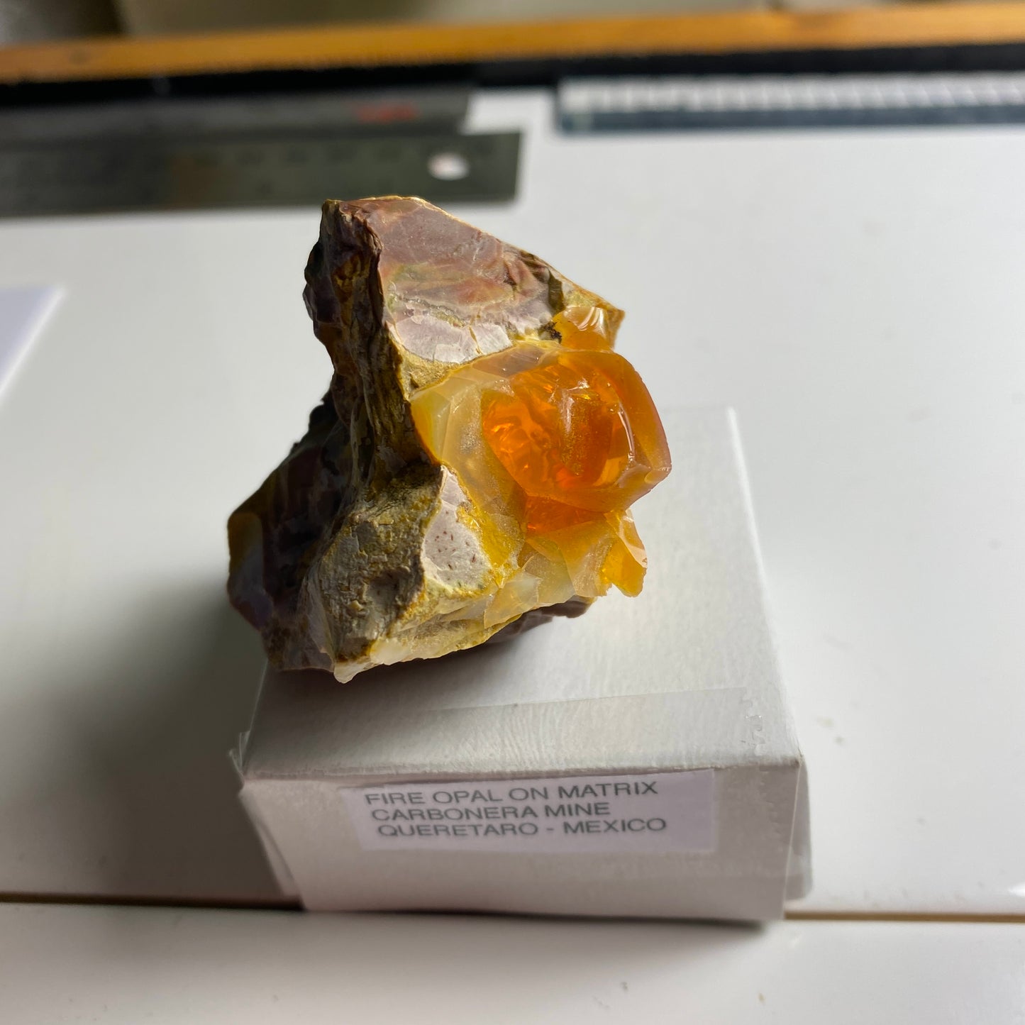 FIRE OPAL ON MATRIX - CARBONERA MINE, QUERETARO, MEXICO  52g  MF4142