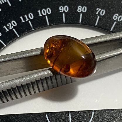 NATURAL AMBER GEMSTONE - BALTIC COAST, LATVIA. 1.45Ct  MFG5402