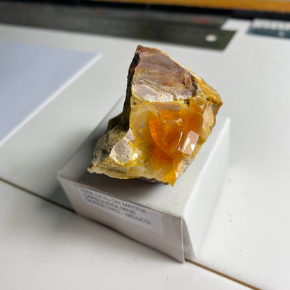 FIRE OPAL ON MATRIX - CARBONERA MINE, QUERETARO, MEXICO  52g  MF4142