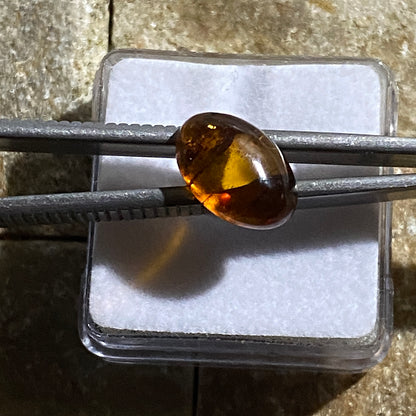 NATURAL AMBER GEMSTONE - BALTIC COAST, LATVIA. 1.45Ct  MFG5402