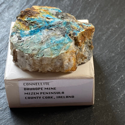 CONNELLITE [ETC] , DHUROPE MINE, IRELAND  69g MF1848