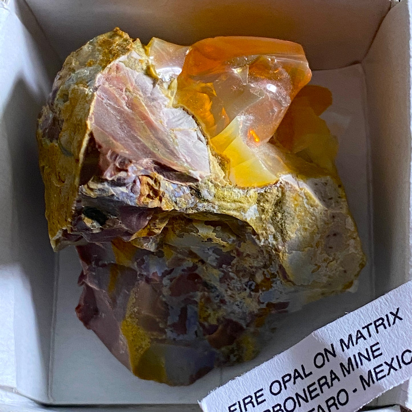 FIRE OPAL ON MATRIX - CARBONERA MINE, QUERETARO, MEXICO  52g  MF4142