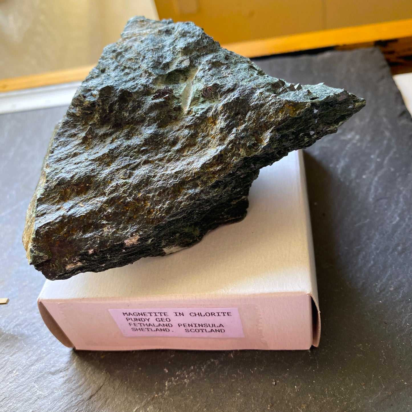 MAGNETITE IN CHLORITE, PUNDY GEO, SHETLAND, SCOTLAND LARGE 362g MF1858