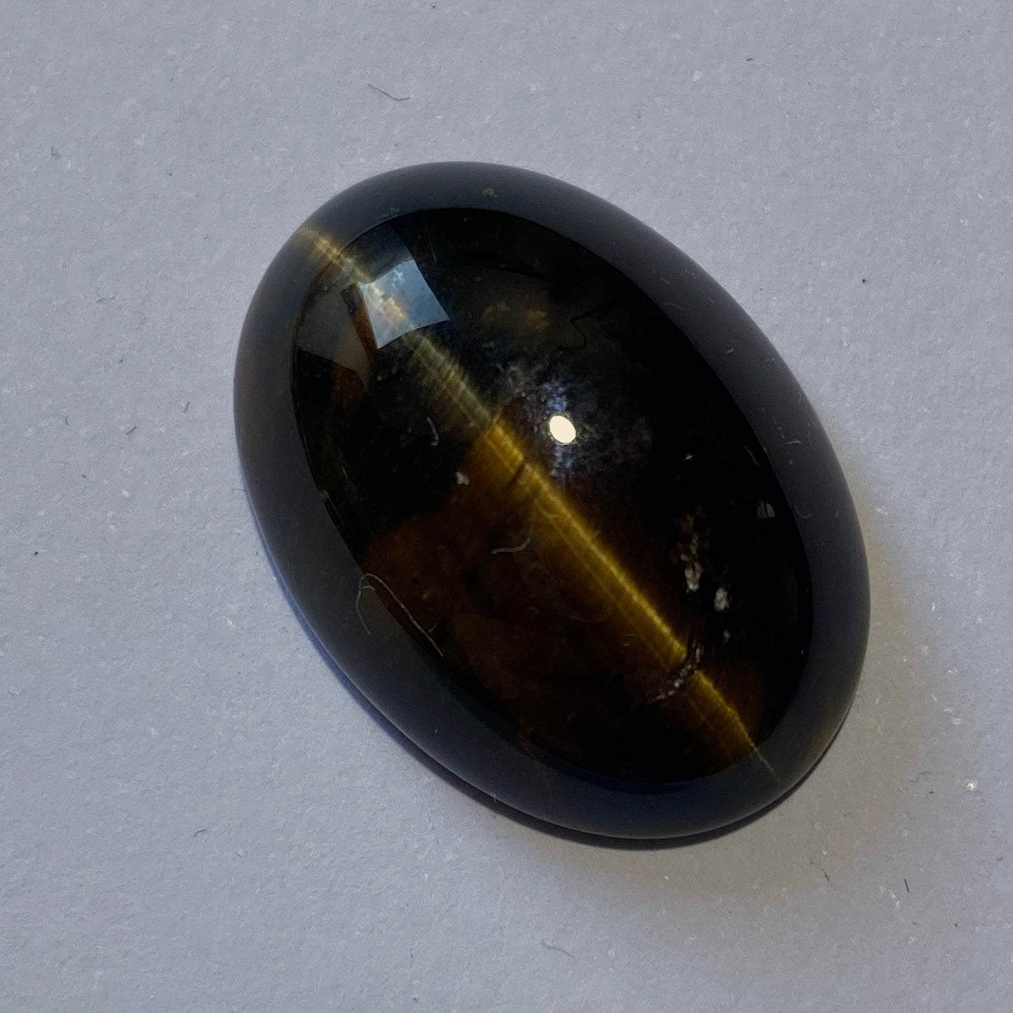 TIGERS EYE QUARTZ GEMSTONES x 4 - PRIESKA, NORTHERN CAPE, SOUTH AFRICA 95Ct MFG5089