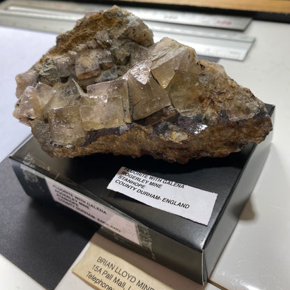 FLUORITE AVEC GALÈNE DE LA MINE ROGERLEY, CO DURHAM, ANGLETERRE. 435g MF6440