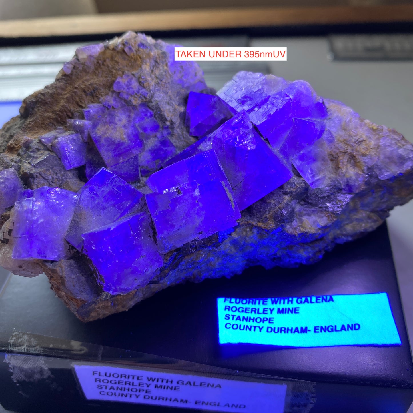 FLUORITE AVEC GALÈNE DE LA MINE ROGERLEY, CO DURHAM, ANGLETERRE. 435g MF6440