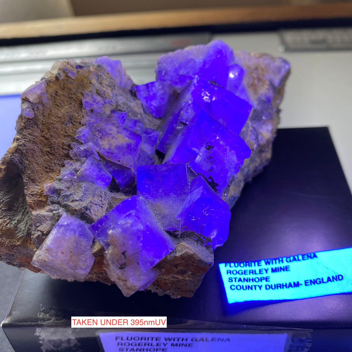 FLUORITE AVEC GALÈNE DE LA MINE ROGERLEY, CO DURHAM, ANGLETERRE. 435g MF6440