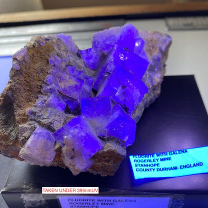 FLUORITE AVEC GALÈNE DE LA MINE ROGERLEY, CO DURHAM, ANGLETERRE. 435g MF6440