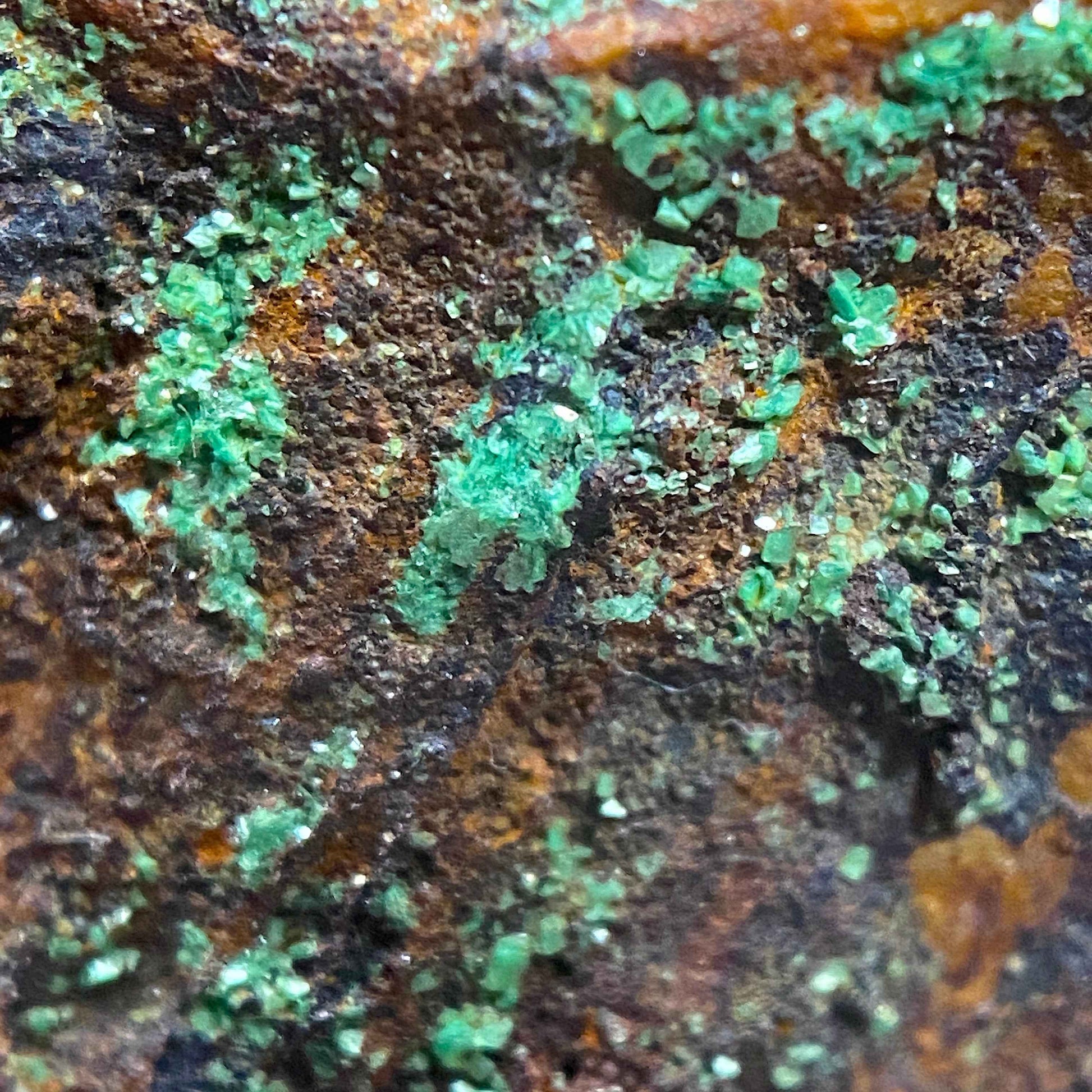 TORBERNITE : SOUTH TERRAS MINE, ST STEPHEN-IN-BRANNELS, CORNWALL. 157g MF5070