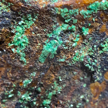 TORBERNITE : SOUTH TERRAS MINE, ST STEPHEN-IN-BRANNELS, CORNWALL. 157g MF5070