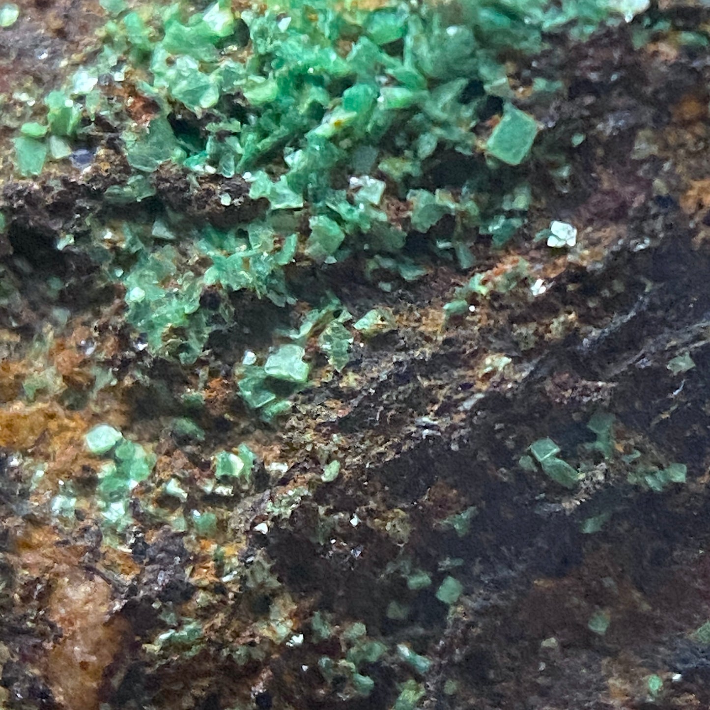 TORBERNITE : SOUTH TERRAS MINE, ST STEPHEN-IN-BRANNELS, CORNWALL. 157g MF5070