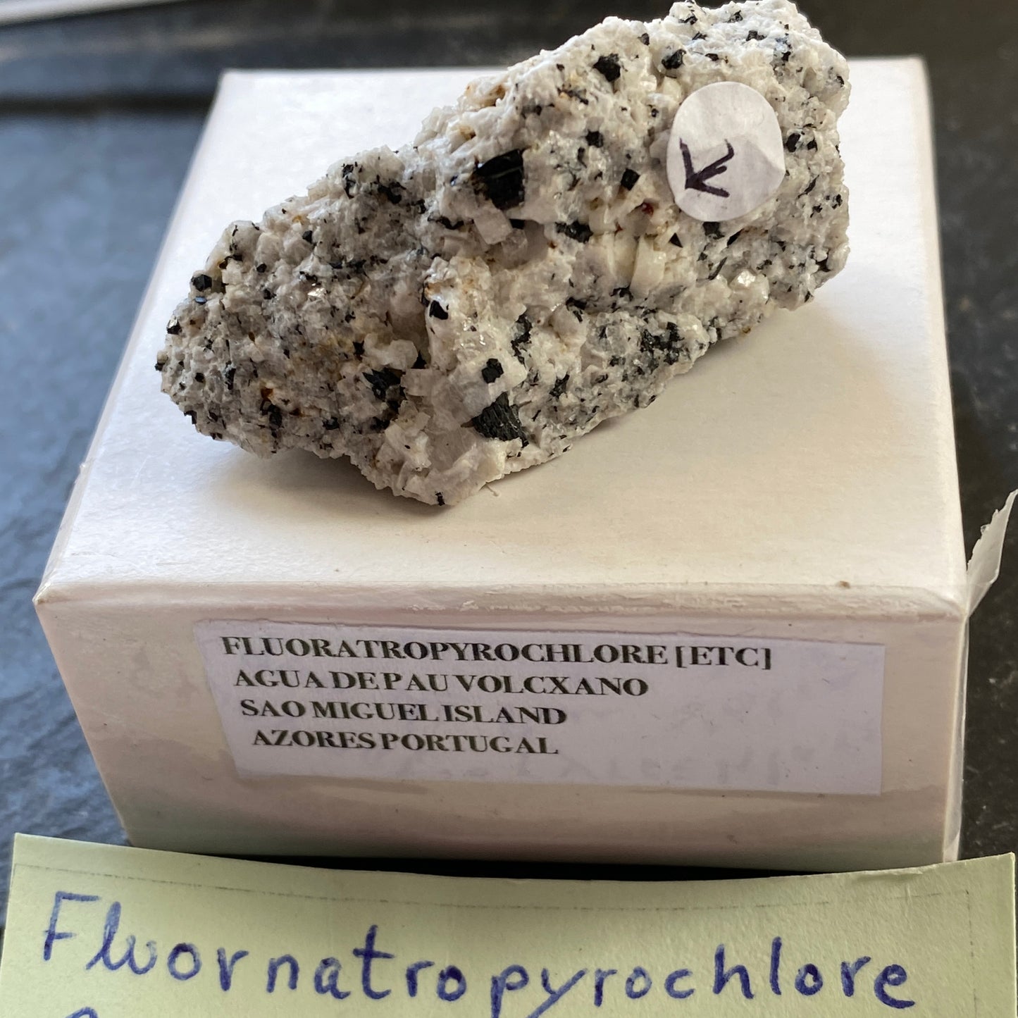 FLUORATROPYROCHLORE  CRYSTAL ON MATRIX, AGUA DE PAU VOLCANO, AZORES 16g