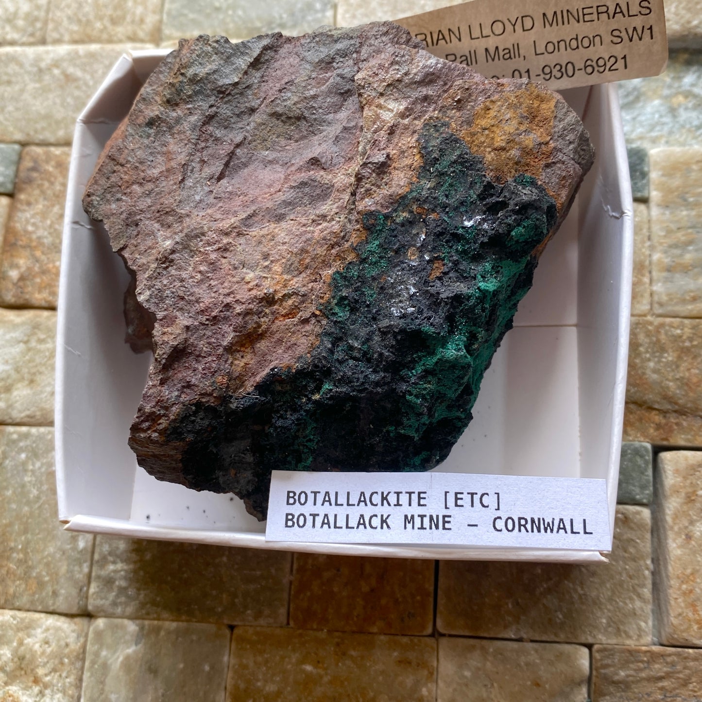 BOTALLACKITE : BOTALLACK MINE, ST JUST, CORNWALL, ENGLAND  264g MF5072