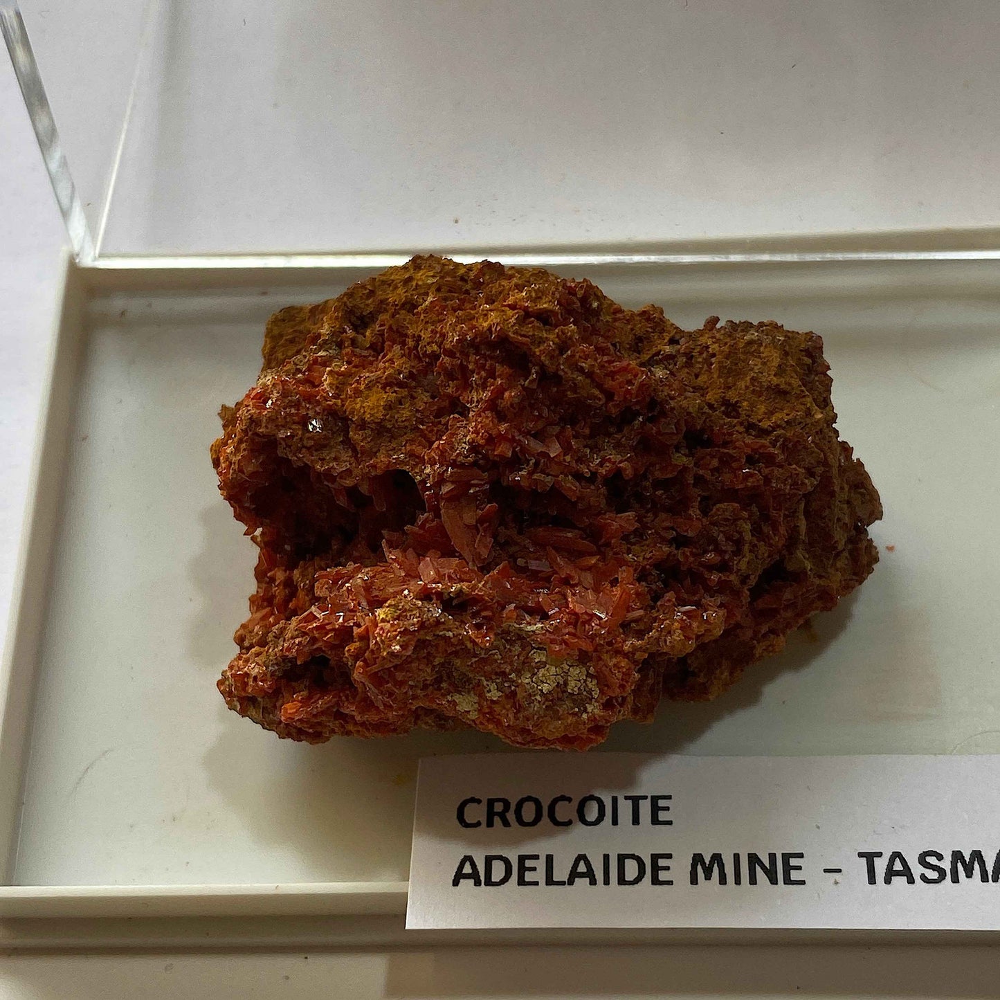 CROCOITE : ADELAIDE MINE, DUNDAD, ZEEHAN, TASMANIA, AUSTRALIA. 37g MF5073
