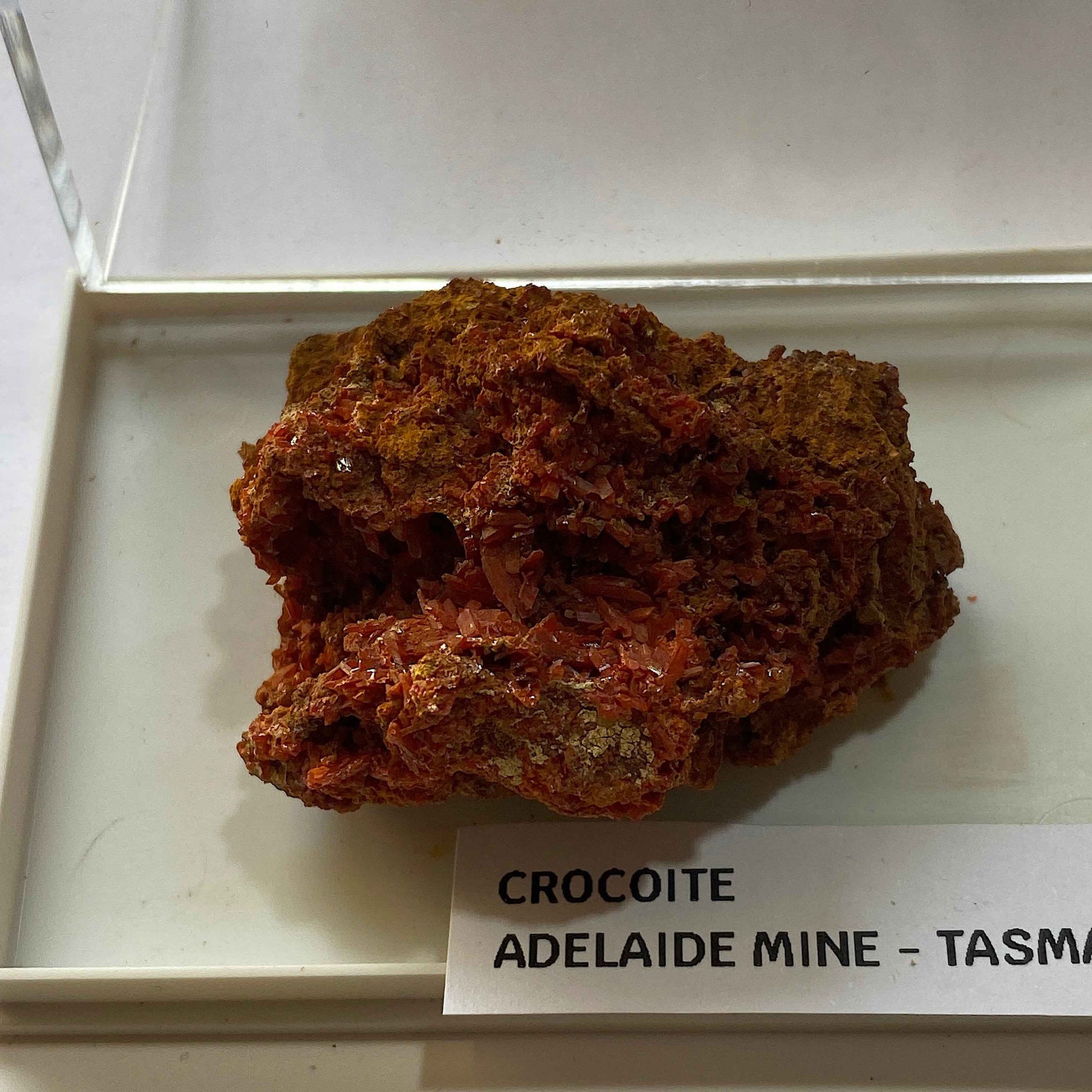 CROCOITE : ADELAIDE MINE, DUNDAD, ZEEHAN, TASMANIA, AUSTRALIA. 37g MF5073