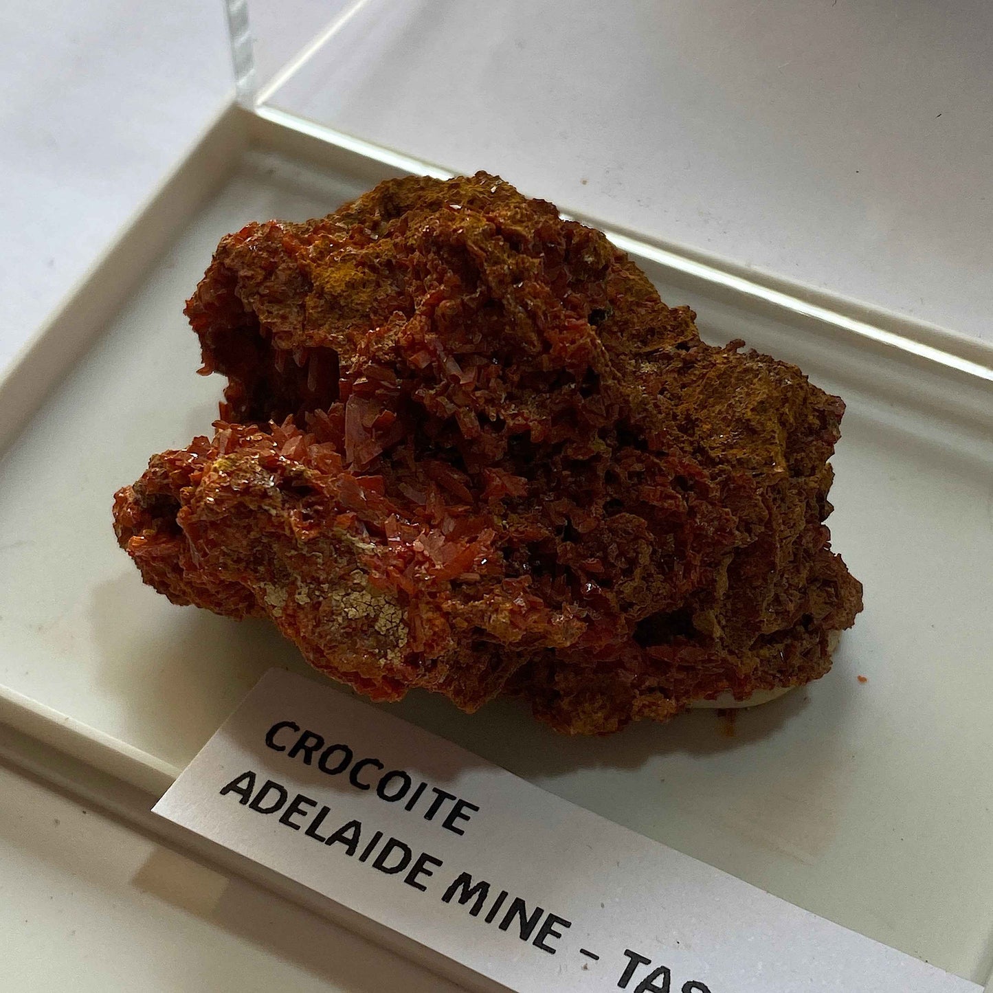 CROCOITE : ADELAIDE MINE, DUNDAD, ZEEHAN, TASMANIA, AUSTRALIA. 37g MF5073