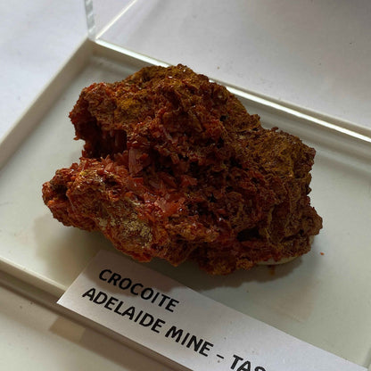 CROCOITE : ADELAIDE MINE, DUNDAD, ZEEHAN, TASMANIA, AUSTRALIA. 37g MF5073