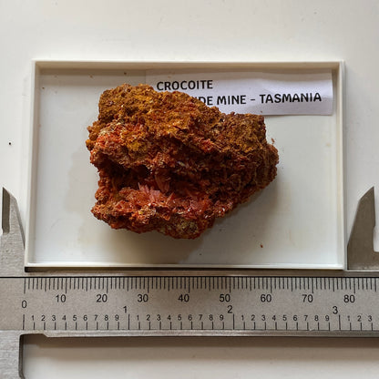 CROCOITE : ADELAIDE MINE, DUNDAD, ZEEHAN, TASMANIA, AUSTRALIA. 37g MF5073