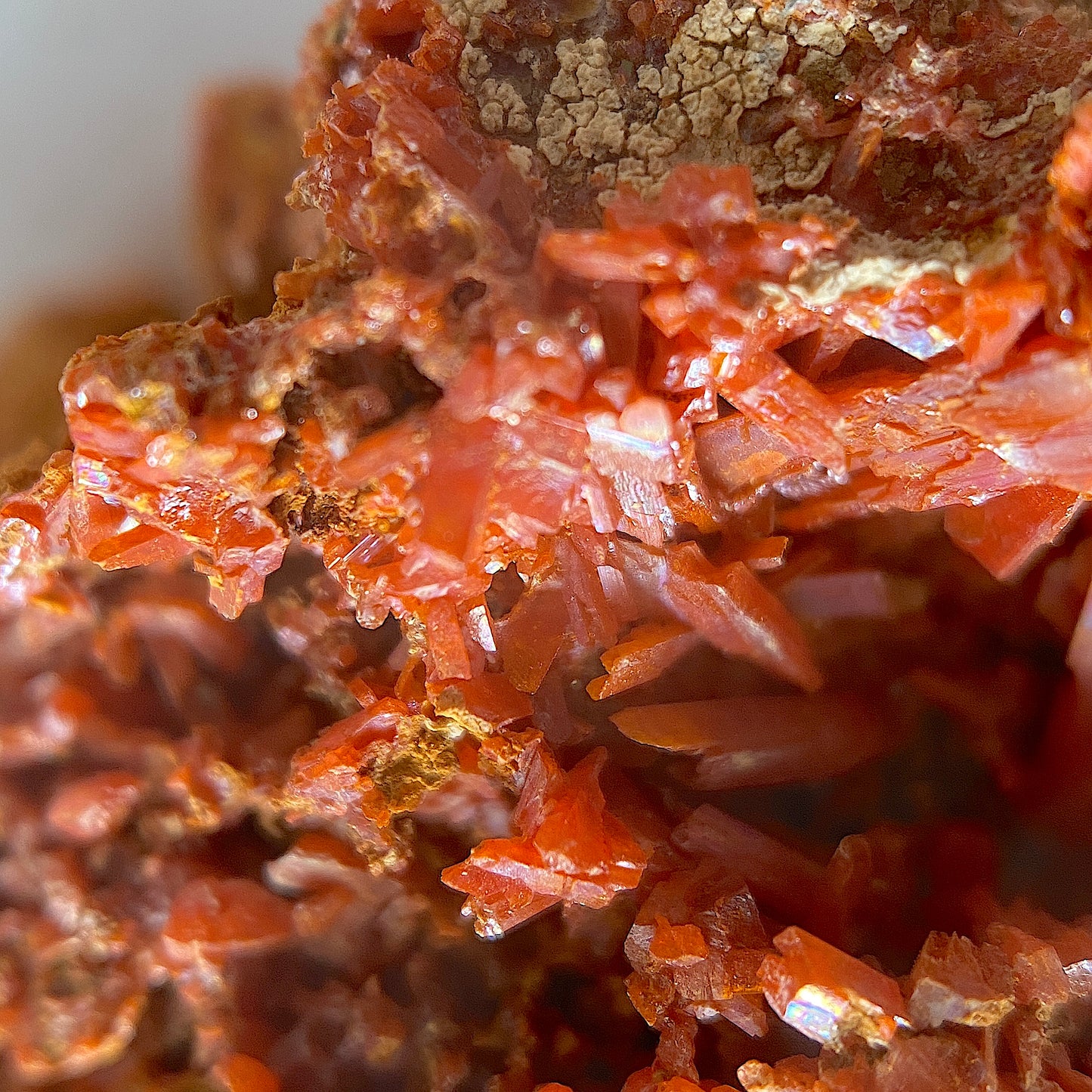 CROCOITE : ADELAIDE MINE, DUNDAD, ZEEHAN, TASMANIA, AUSTRALIA. 37g MF5073