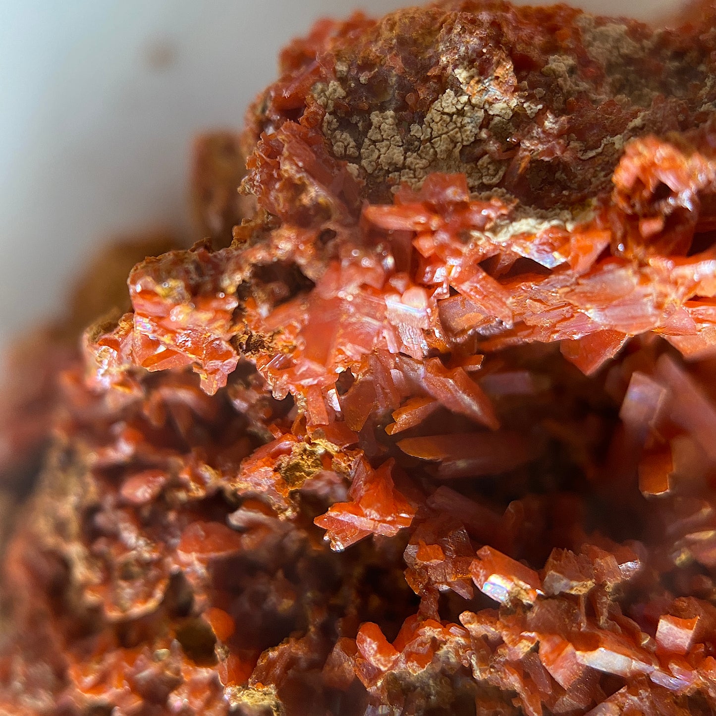 CROCOITE : ADELAIDE MINE, DUNDAD, ZEEHAN, TASMANIA, AUSTRALIA. 37g MF5073