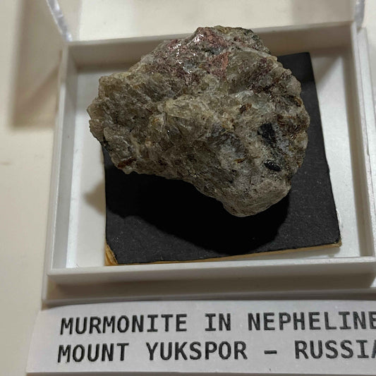MURMONITE IN NEPHELINE : MOUNT YUKSPOR, KOLA PENINSULA, RUSSIA , 5g MF5077