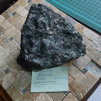 ACTINOLITE - SELASVANN, VEGARSHEI, AGDER, NORWAY  SUBSTANTIAL 1343g. MF4153