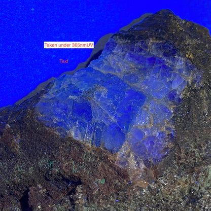 CASSITERITE/CHALCOPYRITE/FLUORITE : LEVANT MINE, ST JUST, CORNWALL. 164g MF5080
