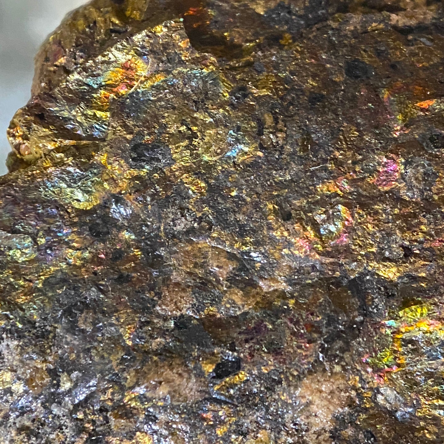 CASSITERITE/CHALCOPYRITE/FLUORITE : LEVANT MINE, ST JUST, CORNWALL. 164g MF5080