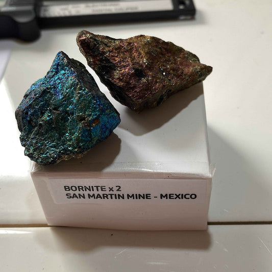 BORNITE x 2 : SAN MARTIN MINE, ZACATECAS, MEXICO. 61g. MF5085