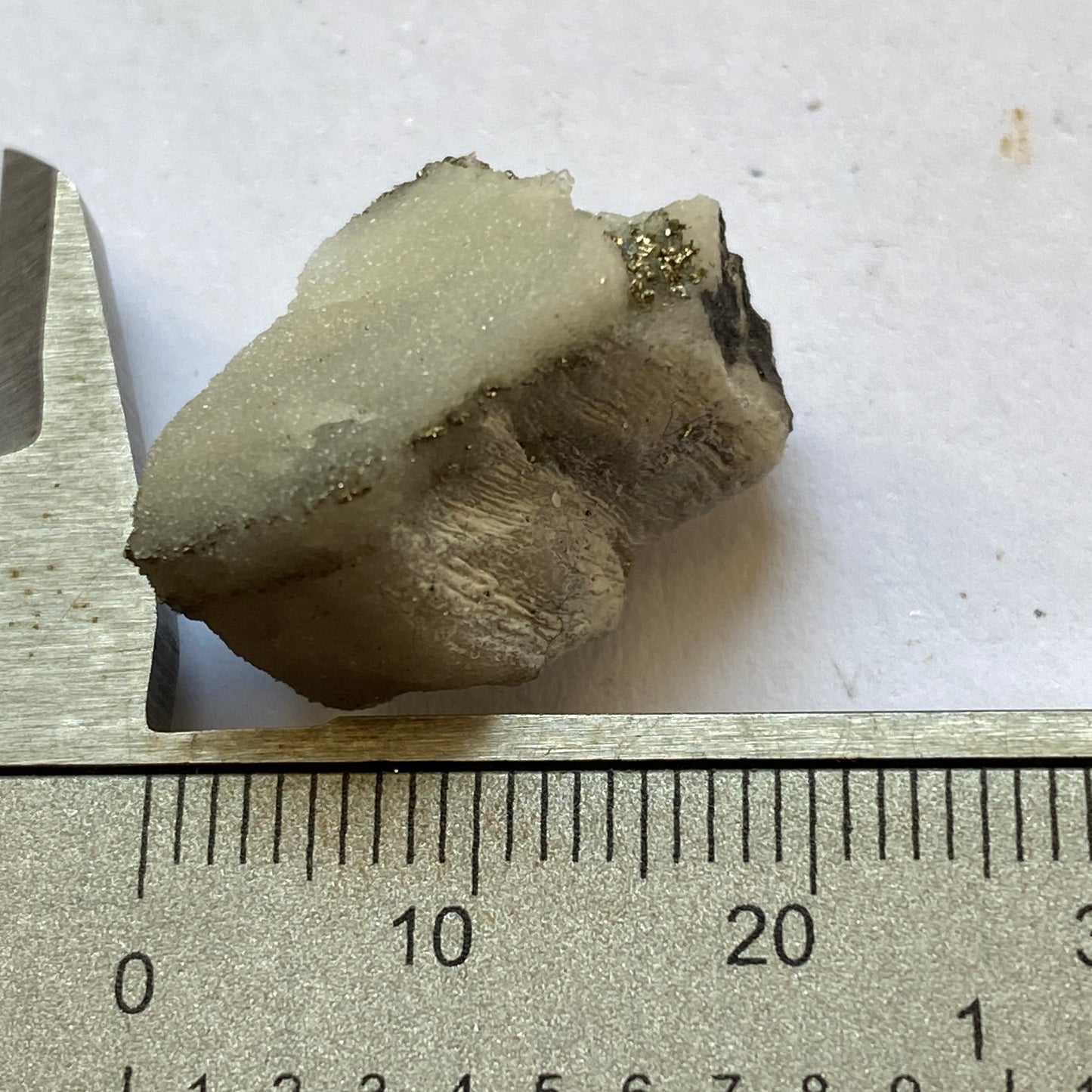 SPECIMEN FROM LENGENBACH QUARRY, SWITZERLAND 9g MF1913