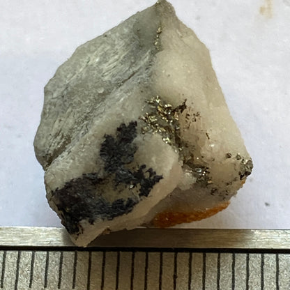 SPECIMEN FROM LENGENBACH QUARRY, SWITZERLAND 9g MF1913