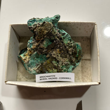 BROCHANTITE : WHEAL HAZARD, BOTALLACK, ST JUST, CORNWALL, 57g MF5088