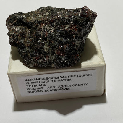 GARNET AMPHIBOLITE FROM EPTELAND, NORWAY 76g MF1456