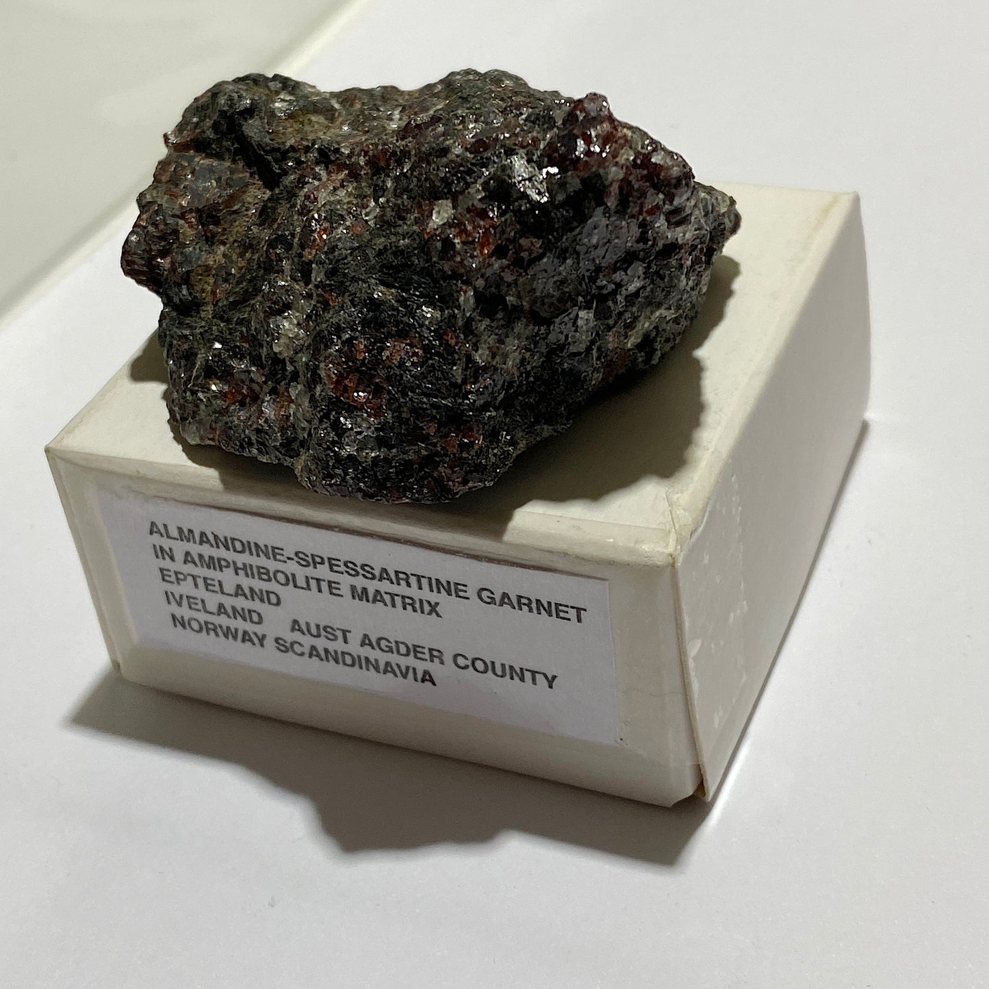 GARNET AMPHIBOLITE FROM EPTELAND, NORWAY 76g MF1456