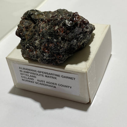 GARNET AMPHIBOLITE FROM EPTELAND, NORWAY 76g MF1456