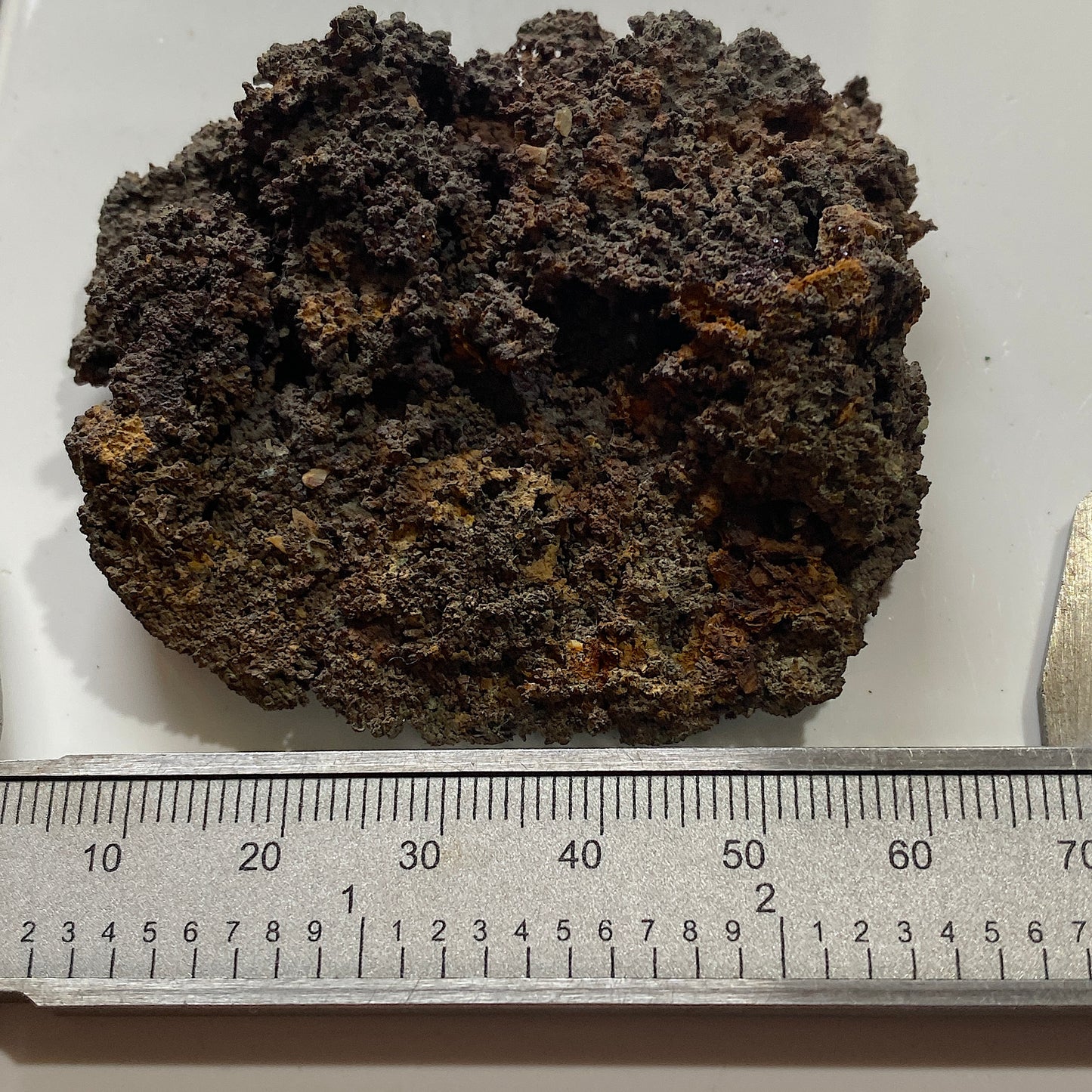 NATIVE COPPER ON CUPRITTE : LEVANT MINE, ST JUST, CORNWALL,  79g. MF5090