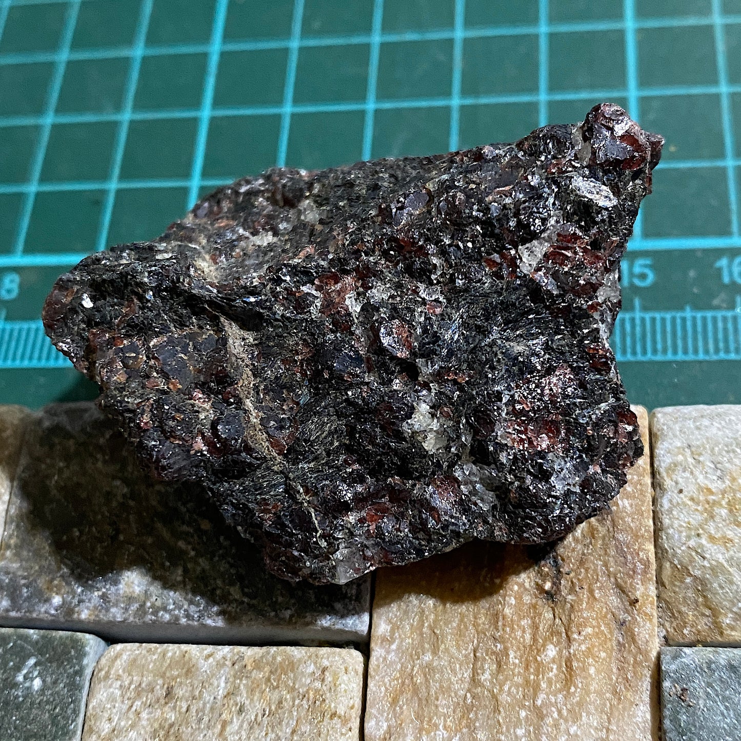 GARNET AMPHIBOLITE FROM EPTELAND, NORWAY 76g MF1456