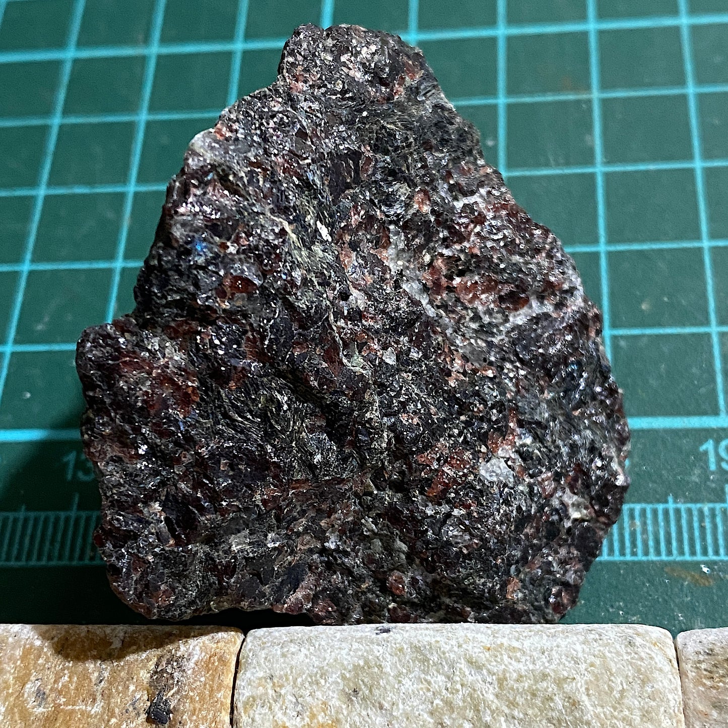 GARNET AMPHIBOLITE FROM EPTELAND, NORWAY 76g MF1456