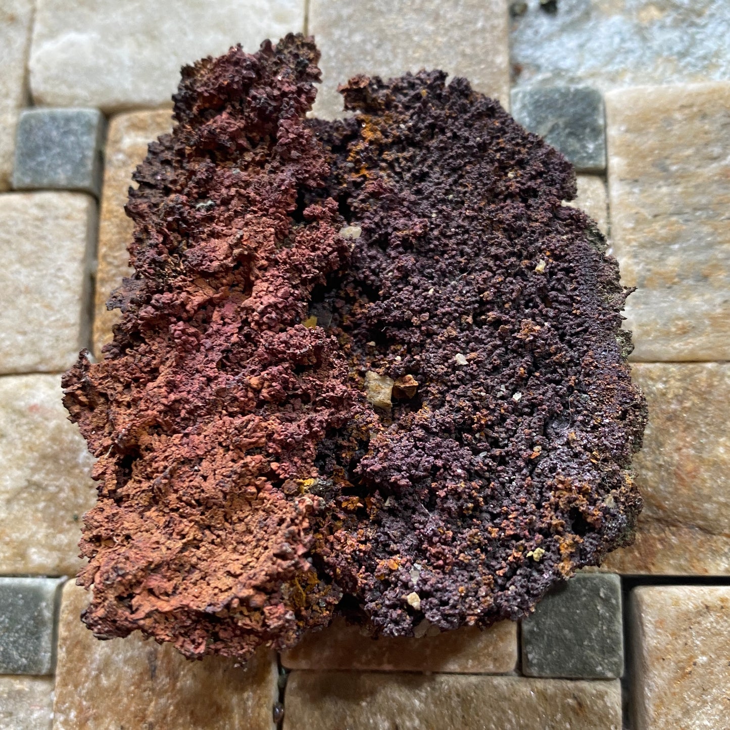 NATIVE COPPER ON CUPRITTE : LEVANT MINE, ST JUST, CORNWALL,  79g. MF5090