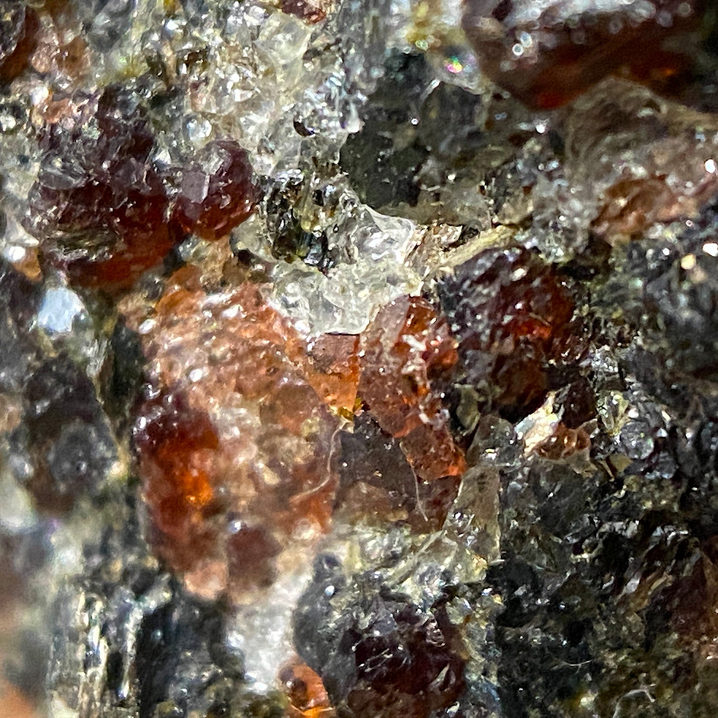 GARNET AMPHIBOLITE FROM EPTELAND, NORWAY 76g MF1456