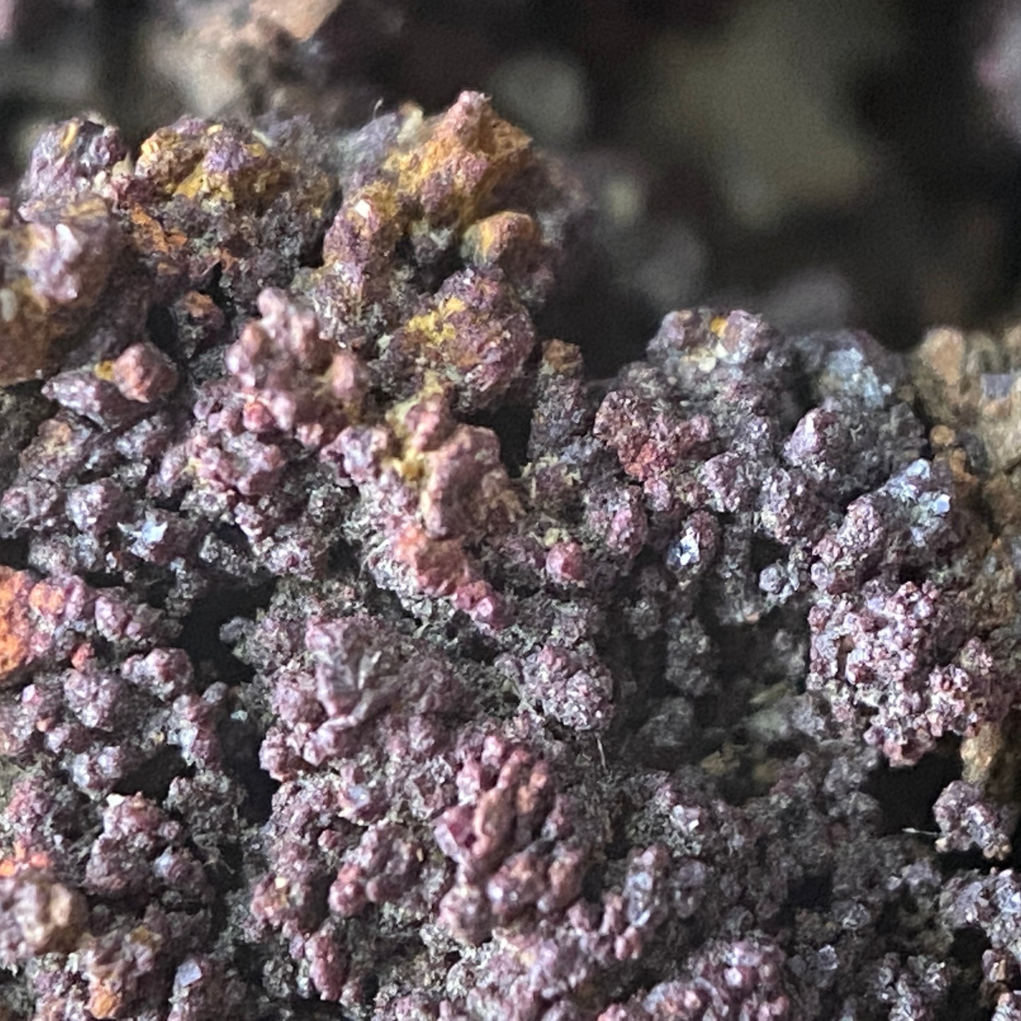 NATIVE COPPER ON CUPRITTE : LEVANT MINE, ST JUST, CORNWALL,  79g. MF5090