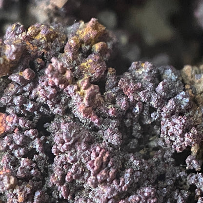NATIVE COPPER ON CUPRITTE : LEVANT MINE, ST JUST, CORNWALL,  79g. MF5090