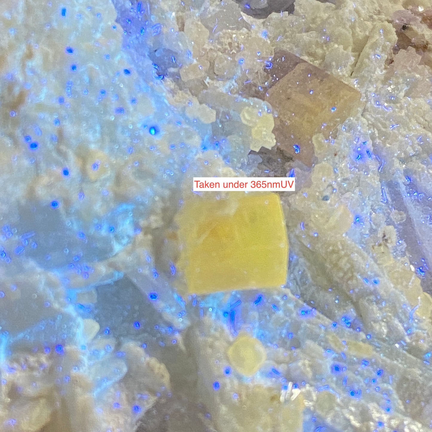 FLUORAPATITE ON MATRIX - BRALDU VALLEY, SHIGAR, PAKISTAN 321g  MF4167