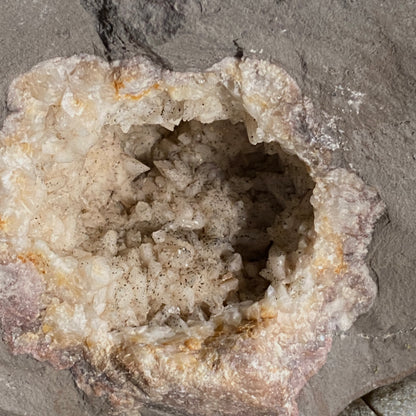 CALCITE VUG IN MUDSTONE , BLACK VEN, DORSET CLIFFS HEAVY 1469g MF1920